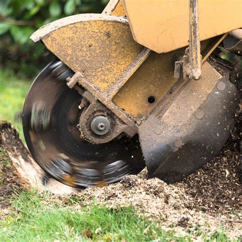 stump removing machine